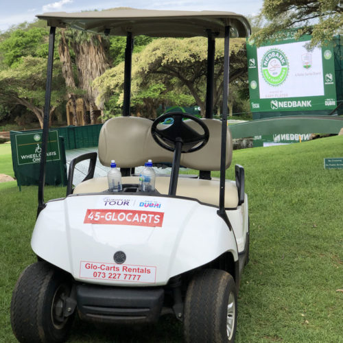 Glo Carts Rental We Have All Your Golf Cart Needs Golf Cart Rental